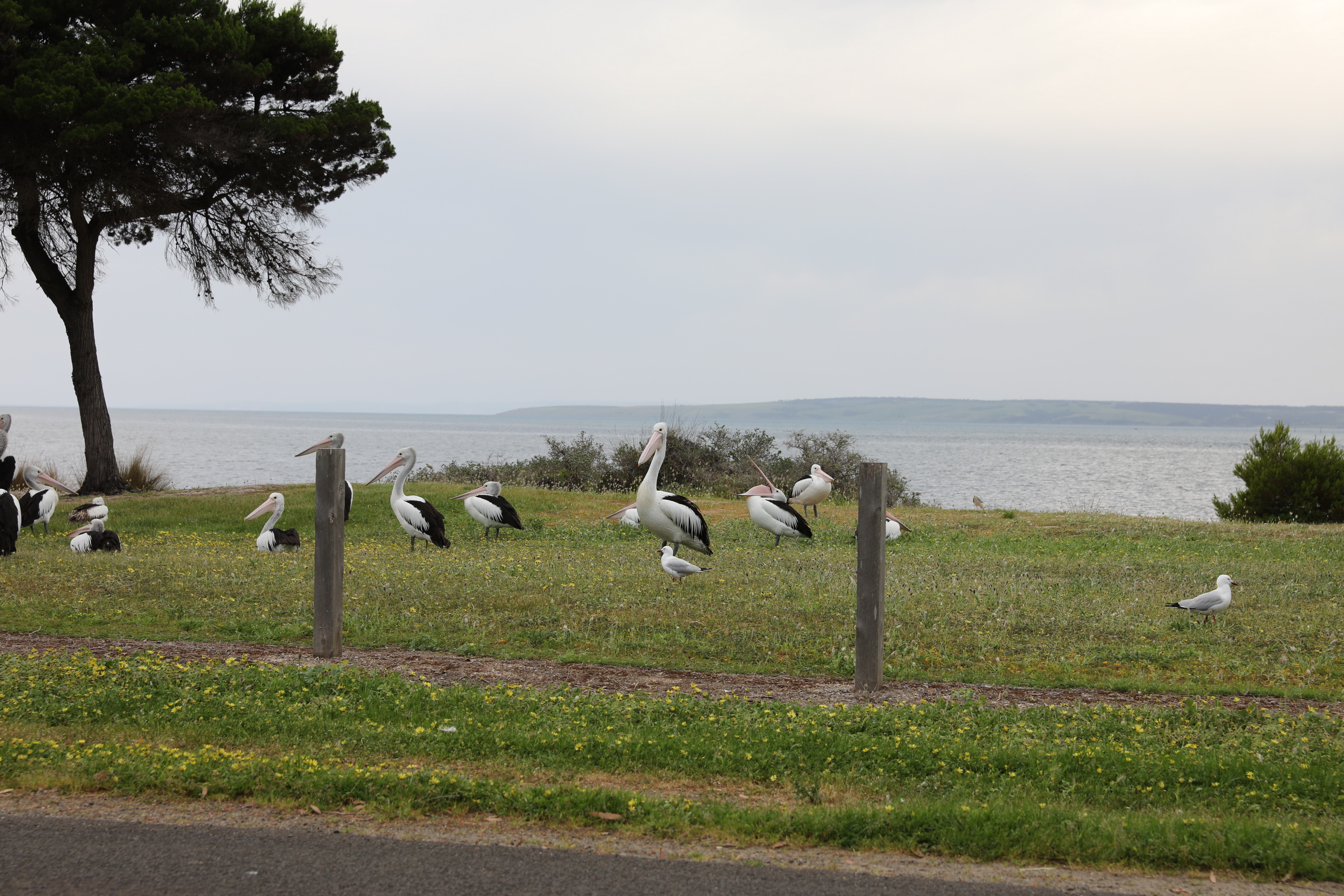 2019 10 05 17 01 34 Canon EOS 5D Mark IV 0024